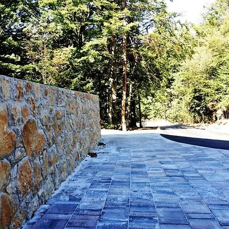 Velikonja Apartman *