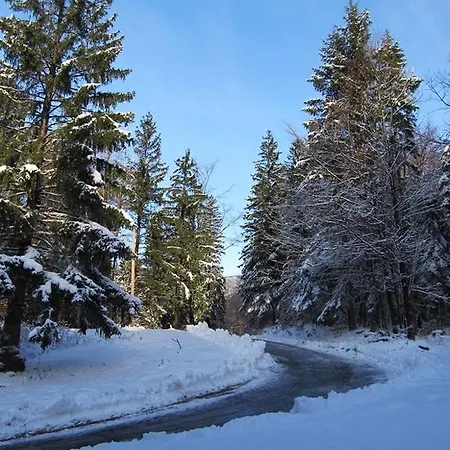 Velikonja * Ajdovscina