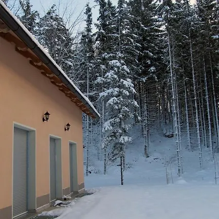 Velikonja Apartman